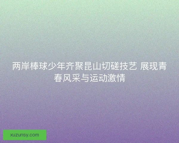 两岸棒球少年齐聚昆山切磋技艺 展现青春风采与运动激情